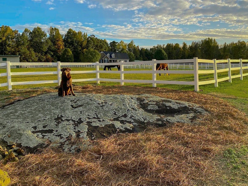 7600 Richland Church Road, Liberty, NC 27298, Presented by Scottie